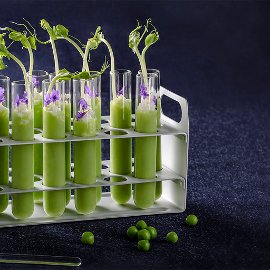 Studená polévka ze zeleného hrášku v party stylu