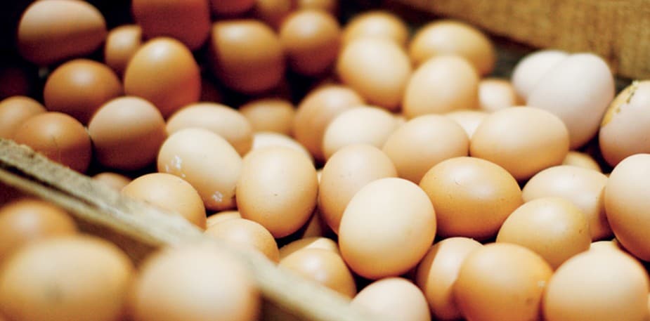 Kalkulace nákladů na potraviny