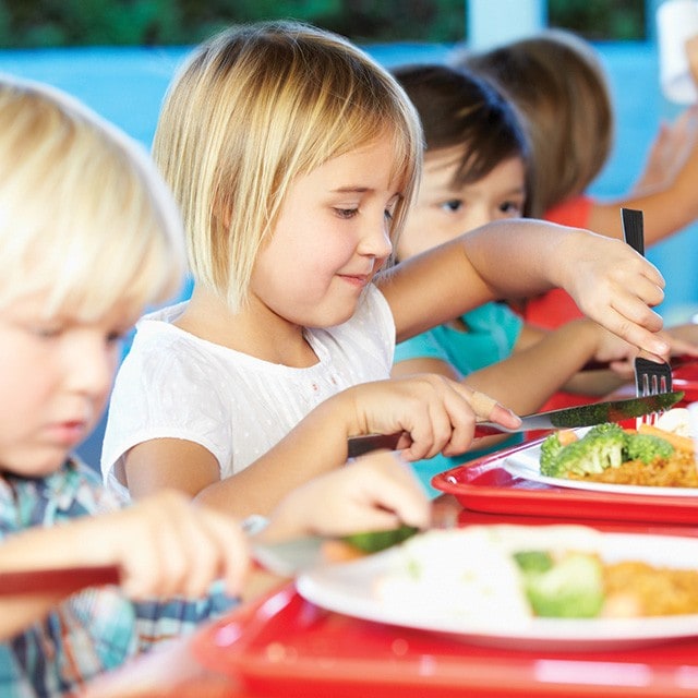 Základ pestré a vyvážené stravy