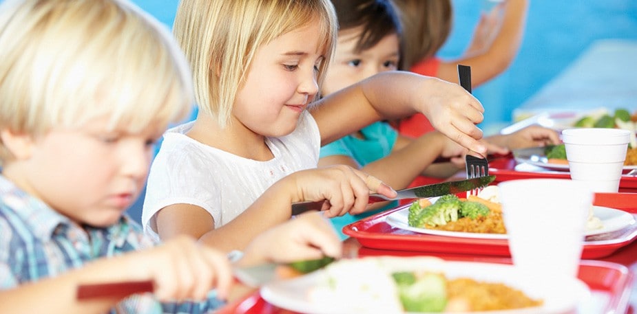 Základ pestré a vyvážené stravy