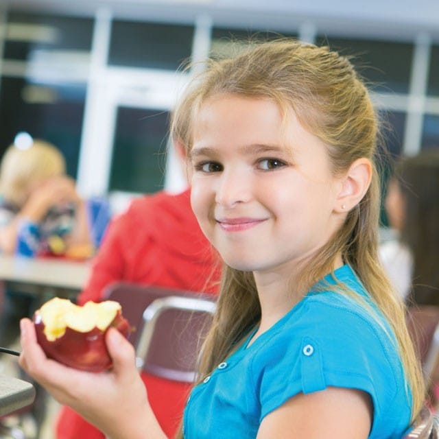 Brožura Školní obedy