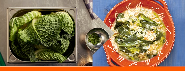 Bílé a červené zelí a hlávková kapusta