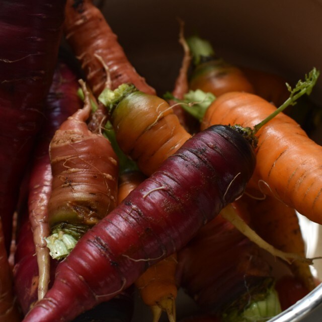 Povědomí o životním prostředí — jak může pozitivně ovlivnit podnikání v cateringu