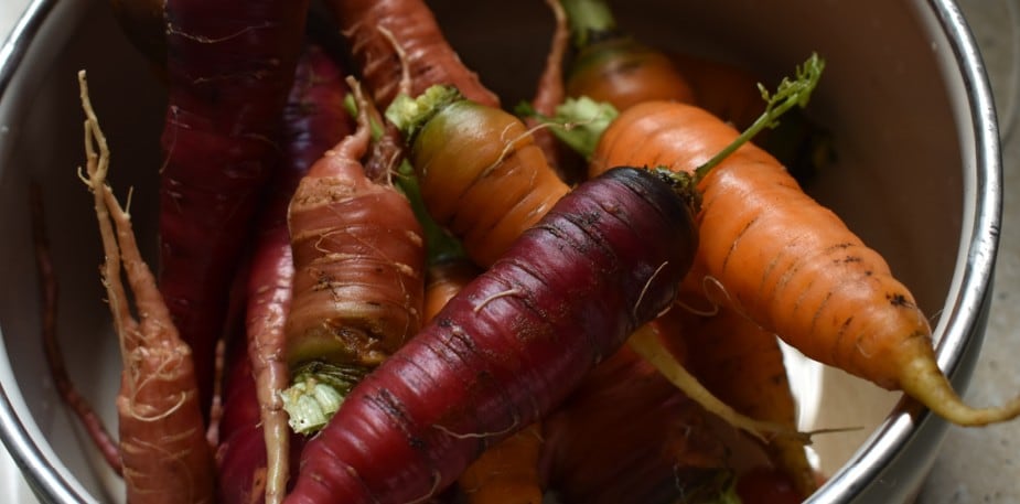 Povědomí o životním prostředí — jak může pozitivně ovlivnit podnikání v cateringu