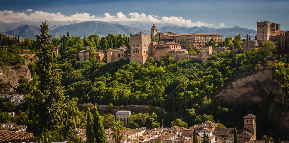 Odkud by měly pocházet bylinky a koření? 