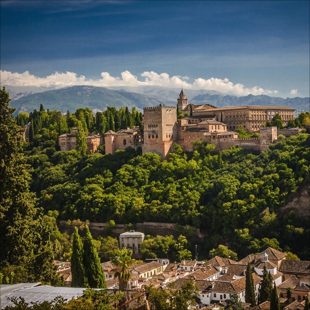 Odkud by měly pocházet bylinky a koření? 