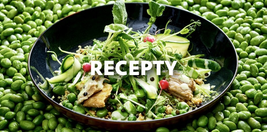 Vegetariánská a veganská jídla