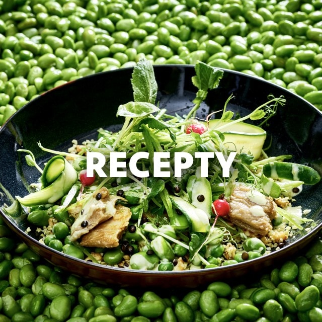 Vegetariánská a veganská jídla